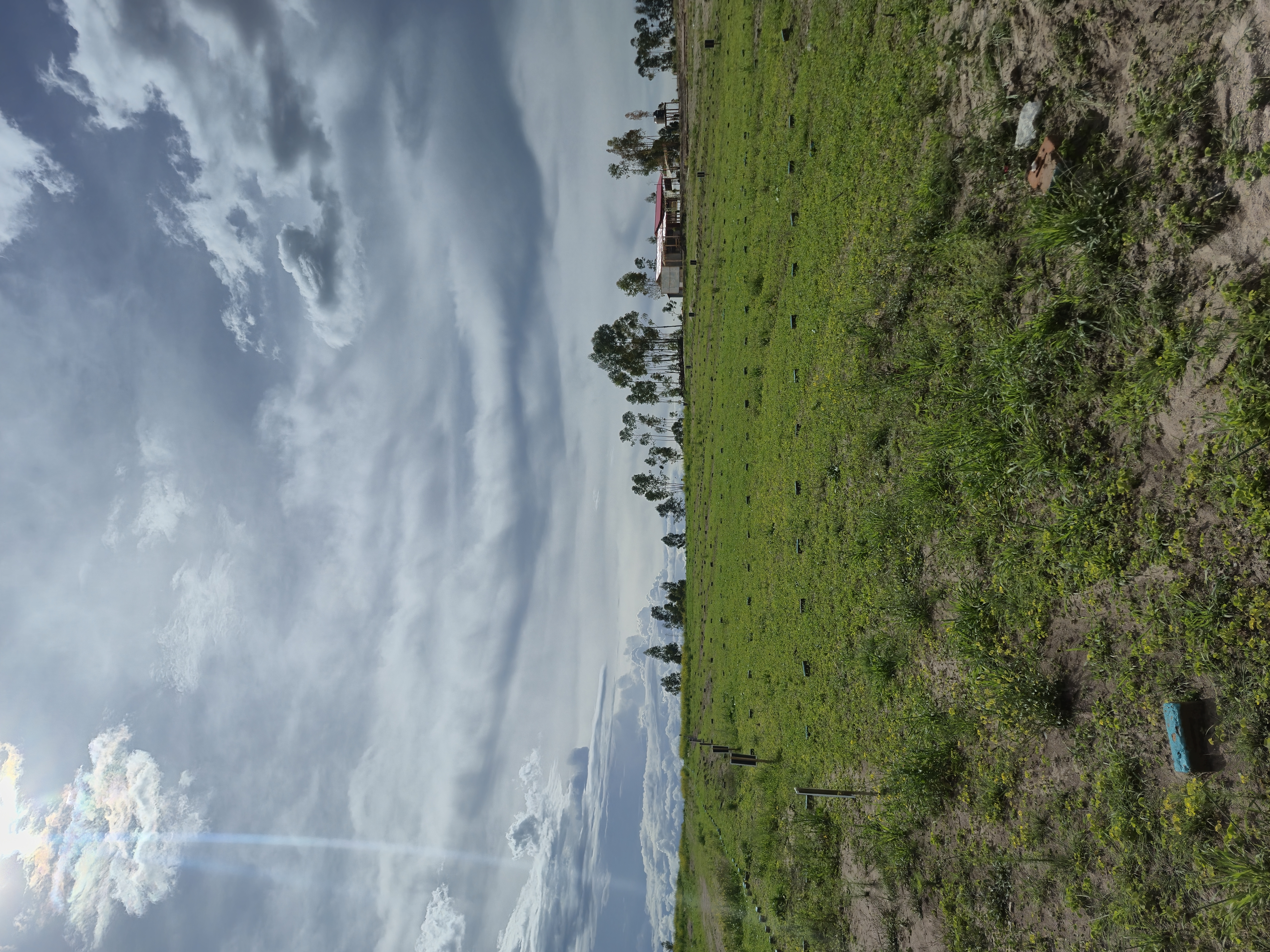 Ciudad de Oro Vista 2