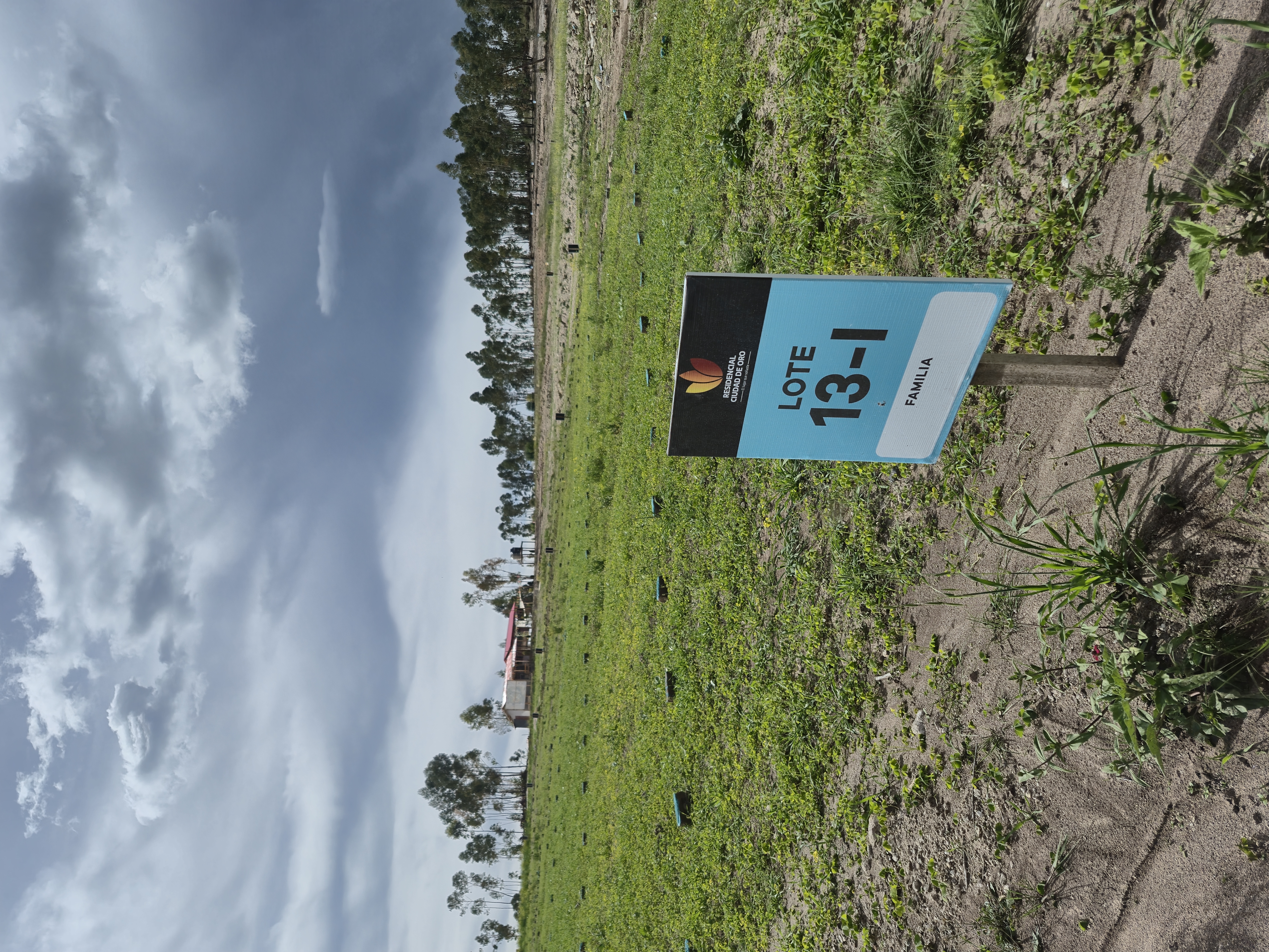 Ciudad de Oro Vista 1